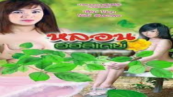 เย็ดในป่า เย็ดเอ้าดอร์ เย็ดเล่นท่า เย็ดสาวไทย เย็ดผี